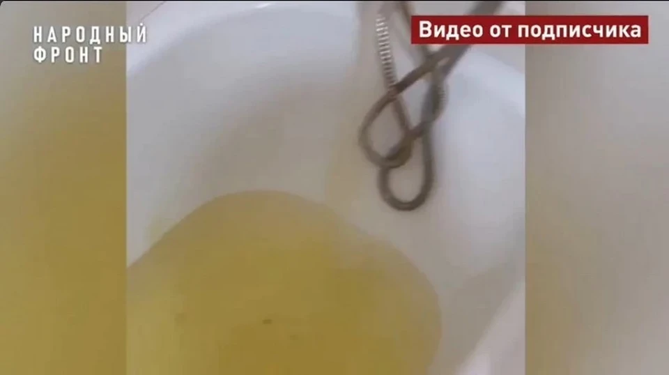Фото: Народный фронт Костромская область