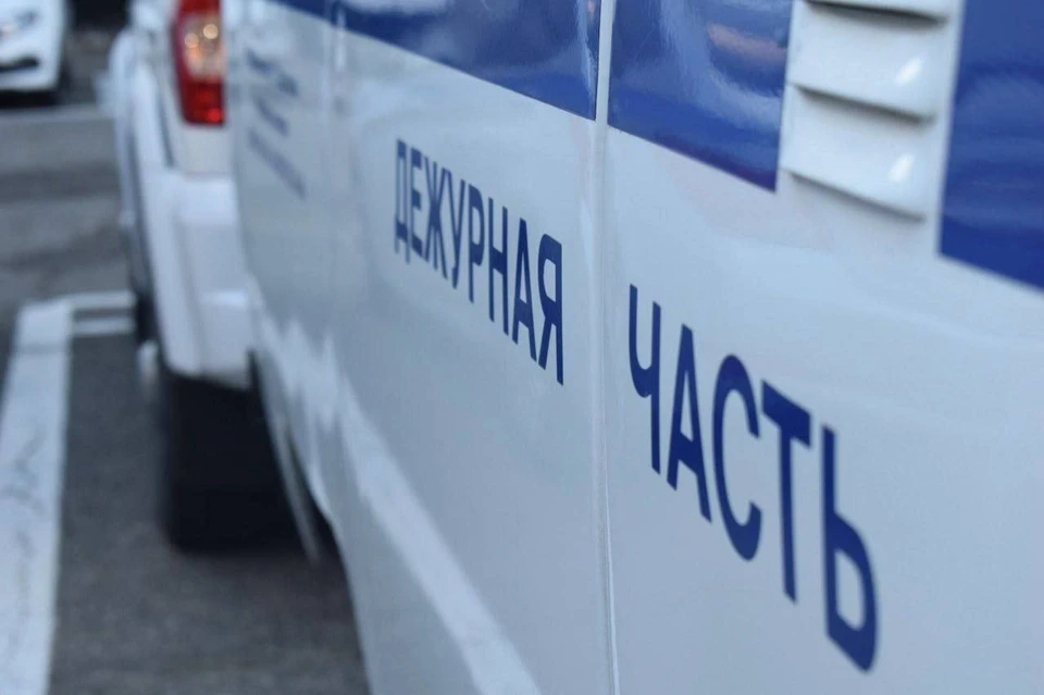 Фото: ГУ МВД по Саратовской области