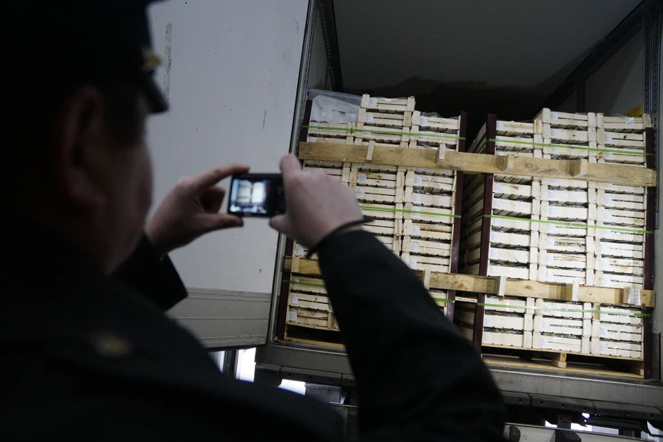 Сотрудник таможни уволился со службы по собственному желанию во время проверки УТП