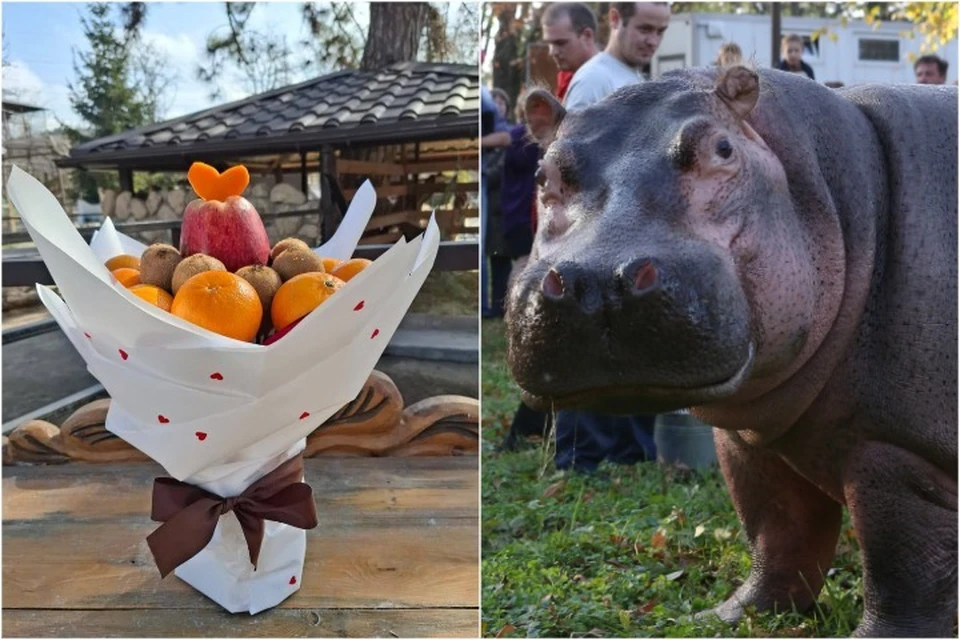 Бегемот любит вкусно поесть. Фото: Бахчисарайский парк миниатюр