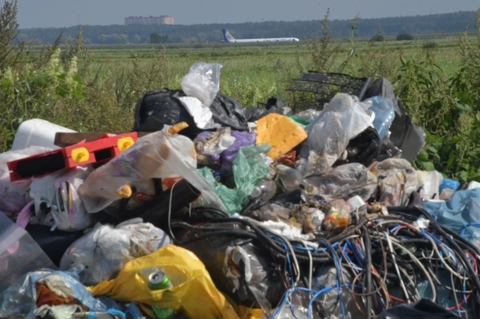 В Хабаровске обнаружили крупную несанкционированную свалка в жилом секторе