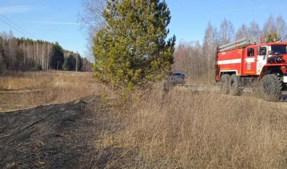 фото из телеграм канала ГУ МЧС по Владимирской области