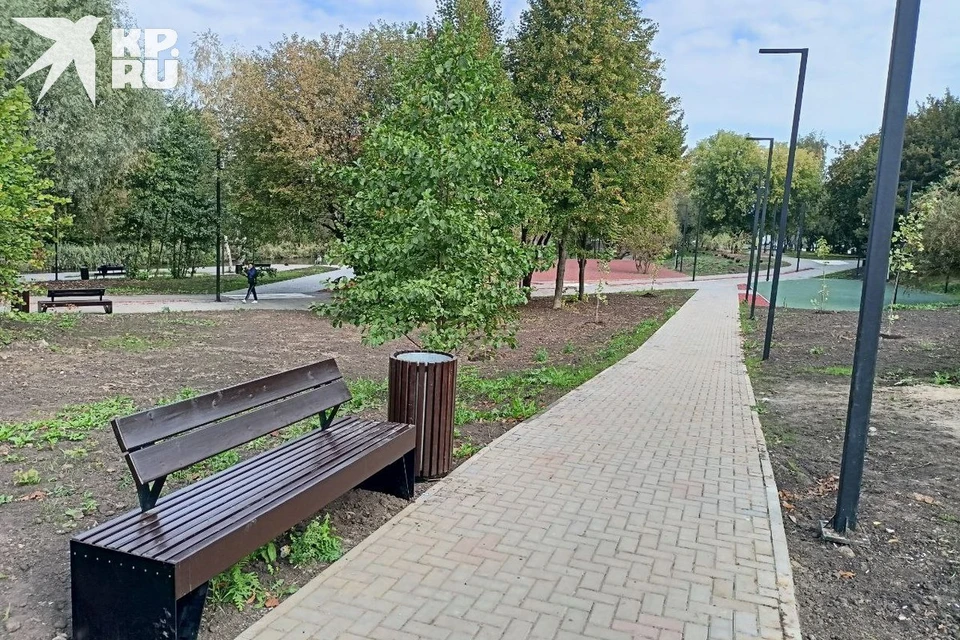Следующий этап благоустройства Черезовских прудов пройдет в Рязани за 26 млн.