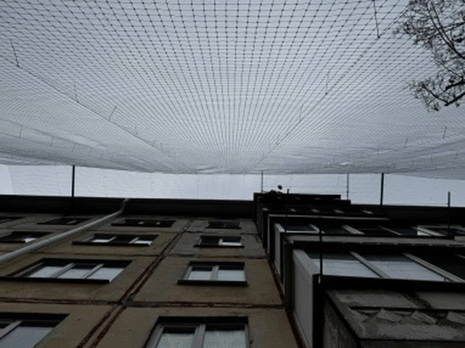 Фото правительства Белгородской области
