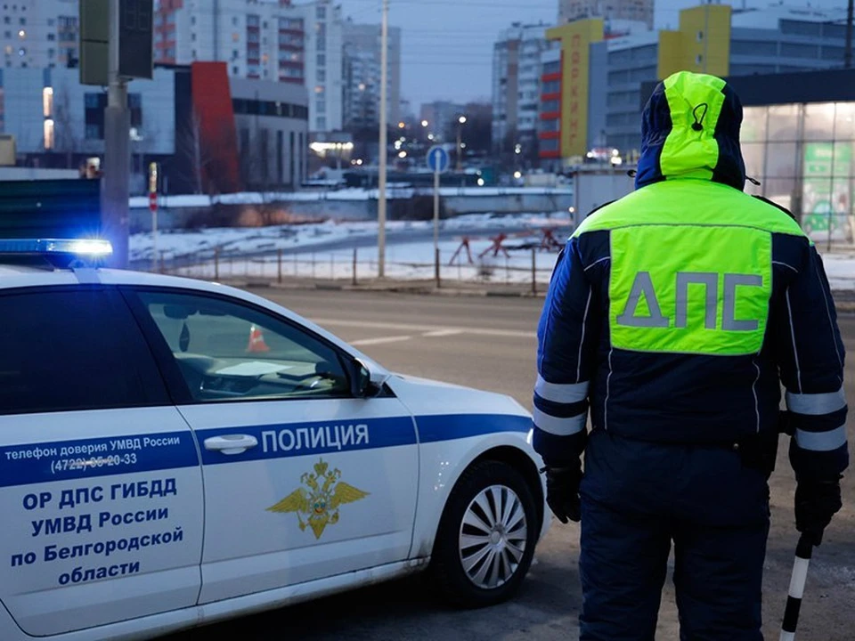 Житель Геленжика попал под статью, пытаясь откупиться от белгородских автоинспекторов. фото: УМВД России по Белгородской области.