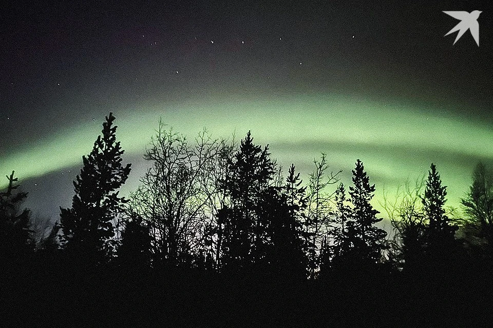 Северное сияние на фотографиях и вживую часто сильно отличается.