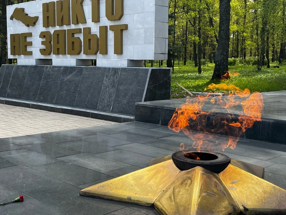 Фото: Анна Апурина