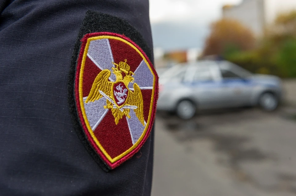 В долине реки Егошиха в Перми организовали круглосуточное патрулирование