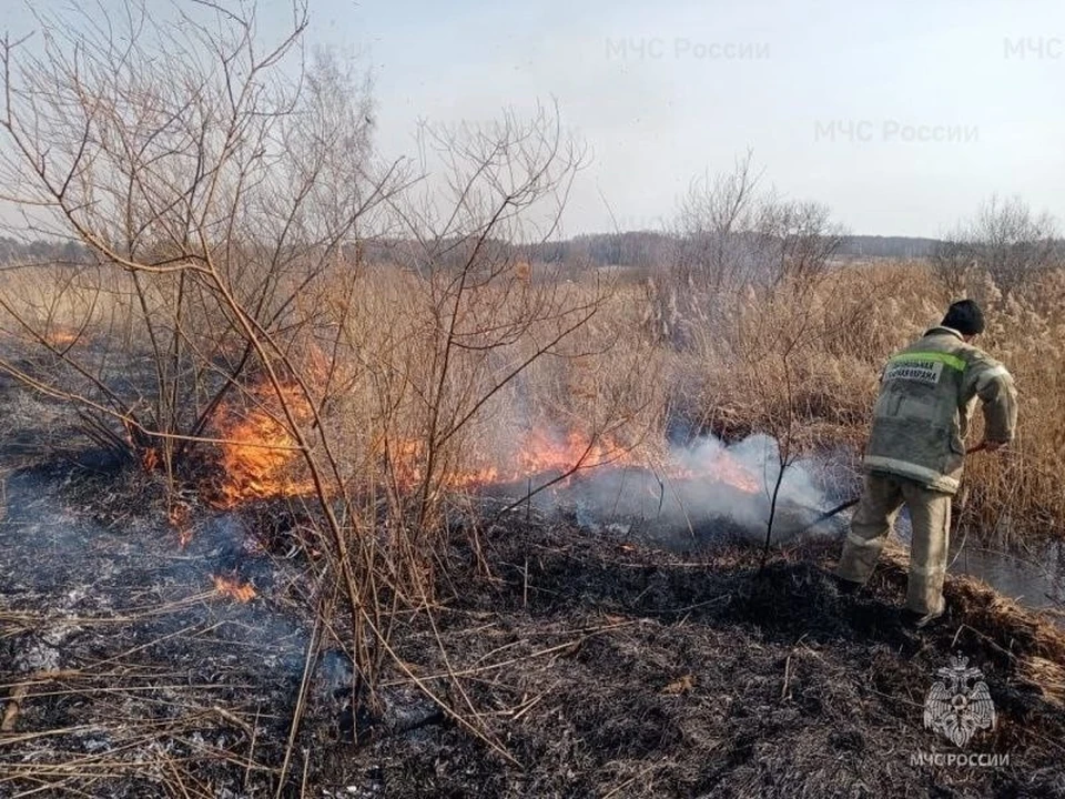 Фото ГУ МЧС по Орловской области