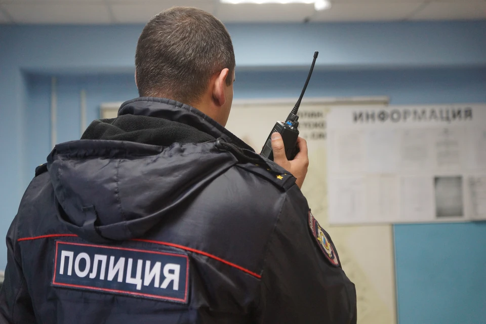 Полицейские смогли разобраться в криминальной схеме, придуманной 32-летней липчанкой.