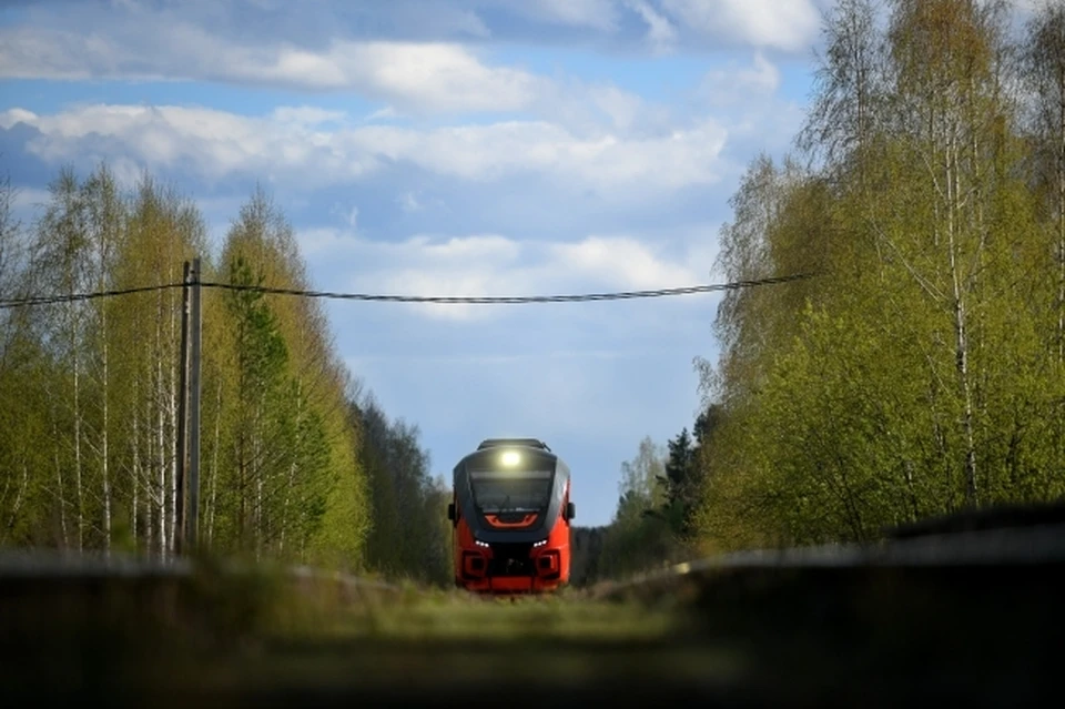 В Новосибирской области мужчина погиб под колёсами грузового поезда.