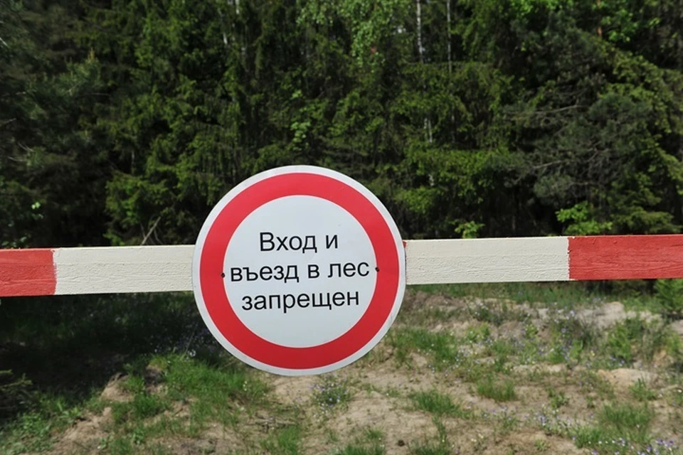 Под угрозой природных возгораний находятся более 120 поселков и деревень.