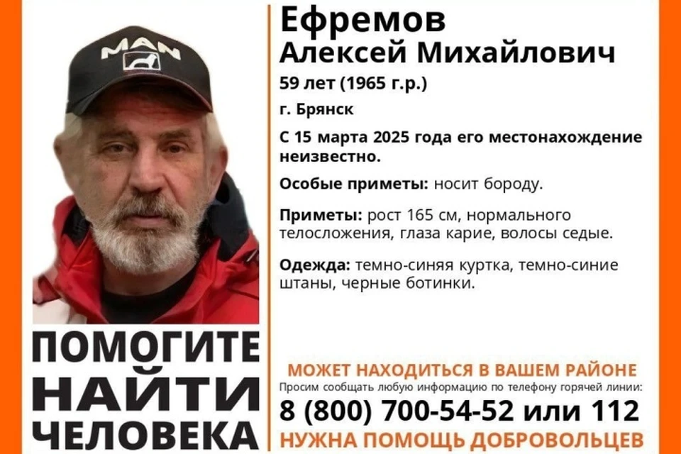 Фото: поисковый отярд "Лиза Алерт".