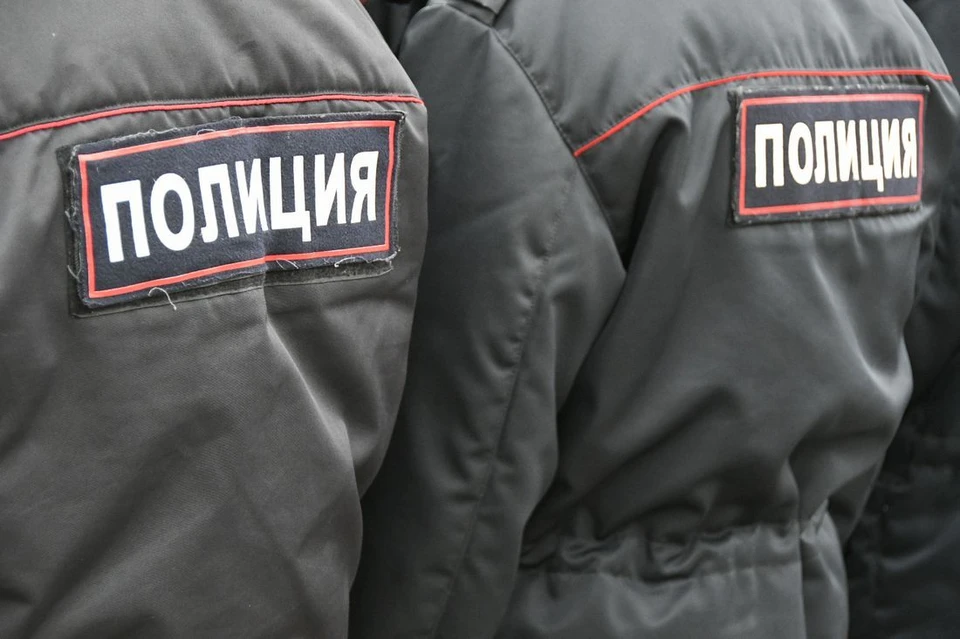 Ранее судимая тулячка обворовала сетевой магазин в Новомосковске Тульской области