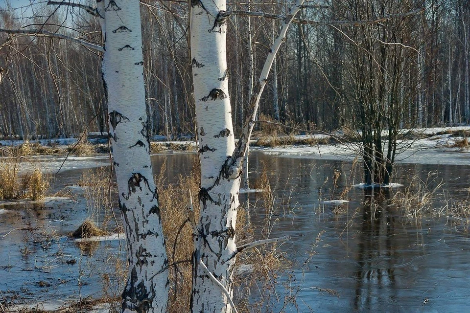 Фото: Кемеровский гидрометцентр.