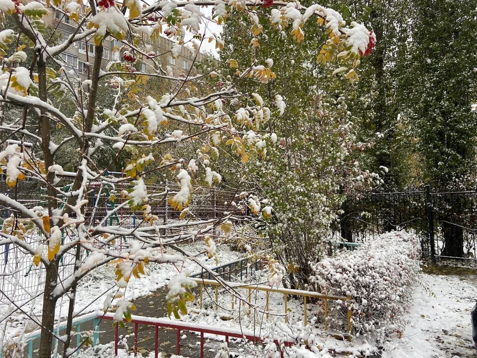 Фото из архива КП.