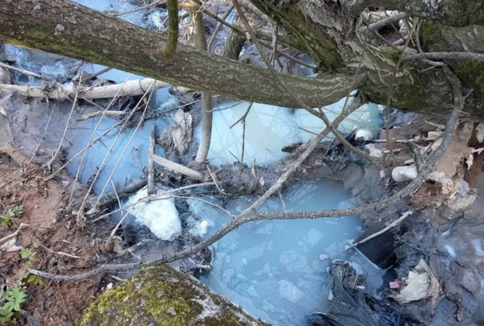 Река Рахма окрасилась в белый цвет в Нижегородской области. Фото: http://4332211.ru/