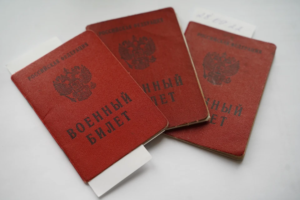 Мизулина намерена просить Генпрокуратуру проверить блогера, якобы купившего военный билет.