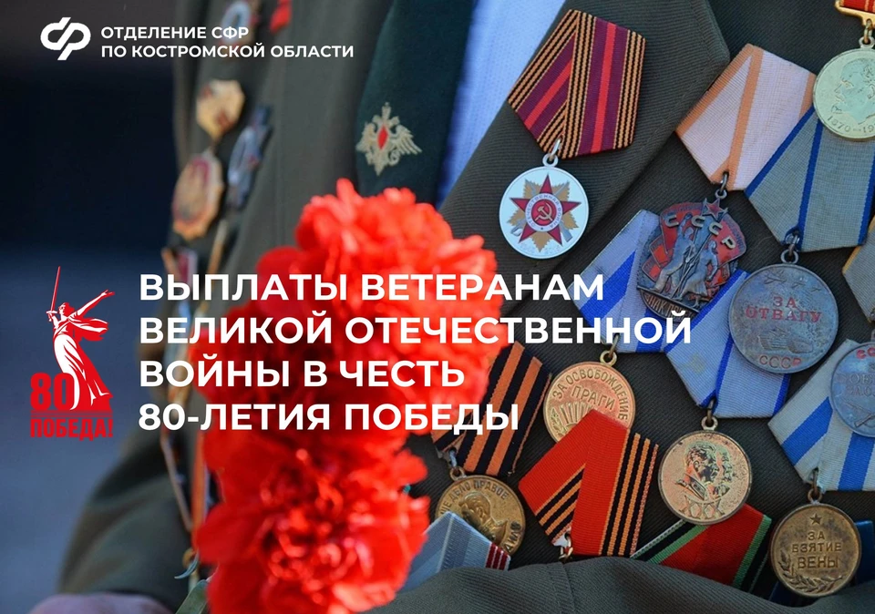 Фото: пресс-служба ОСФР по Костромской области