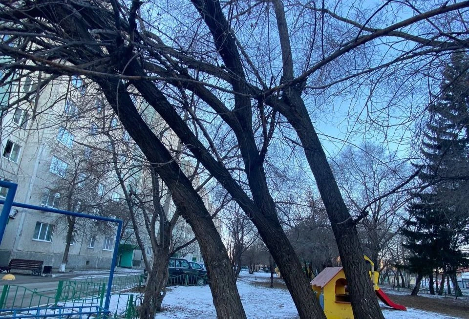 Фото: администрация Тюмени.