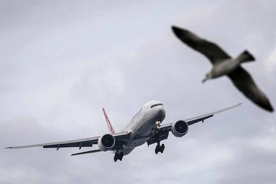 Aviaincident: Пилоты самолета Ижевск — Москва увидели НЛО в небе на рейсе