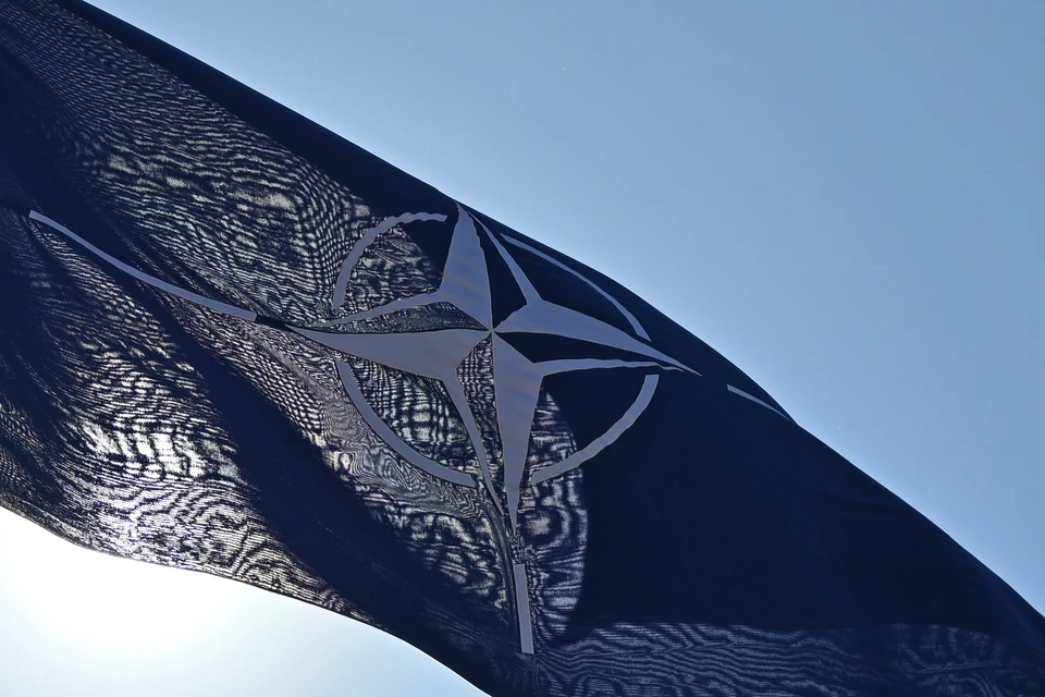 Большинство опрошенных швейцарцев выступают против присоединения к НАТО