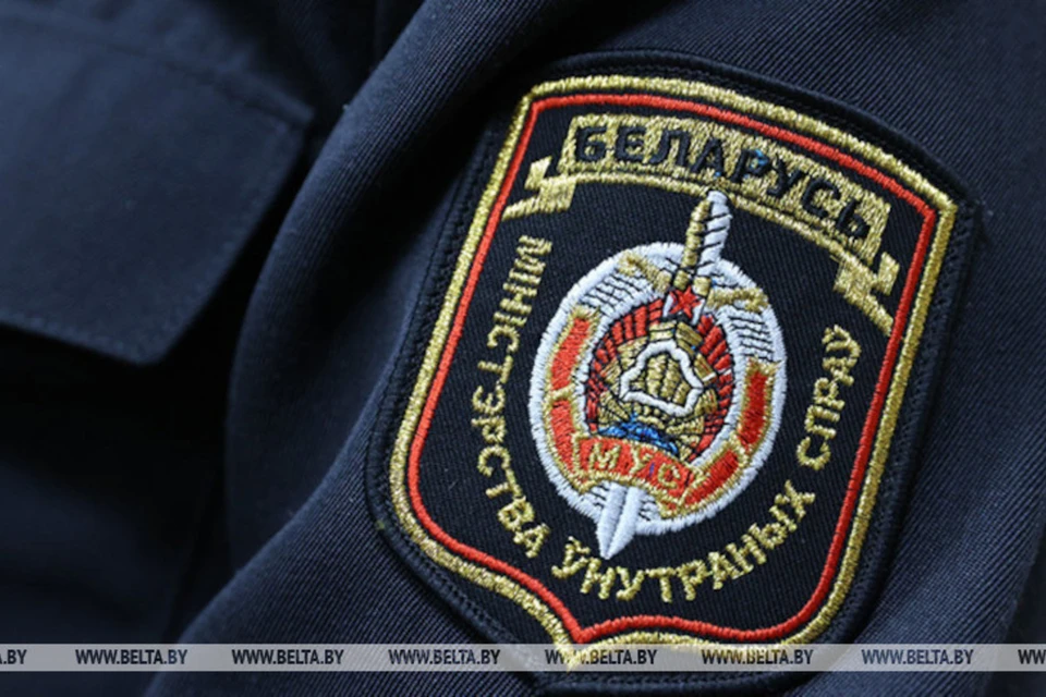В Беларуси милиция остановила грузовик с двумя тоннами мяса без документов. Снимок носит иллюстративный характер. Фото: БелТА