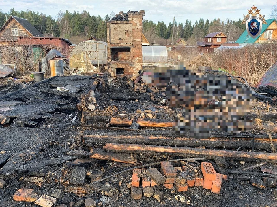 Фото: СУ СК по Челябинской области