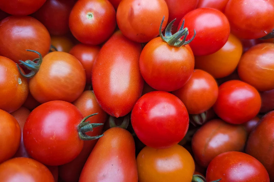 Ввоз продукции запретили
