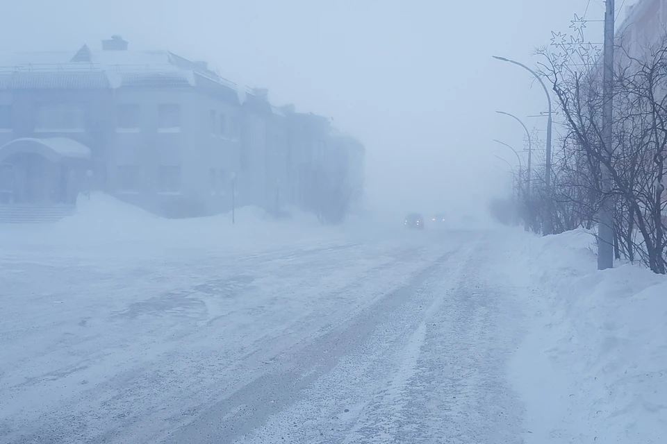 Женщину насмерть придавило дерево, рухнувшее во время снежной бури в Новосибирске.