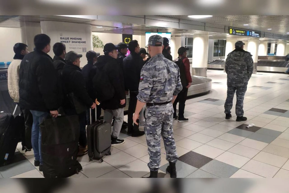 Со Ставрополья в 2025 году на родину отправили 85 мигрантов. Фото: ГУФССП России по Ставропольскому краю