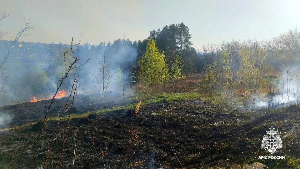 Фото: ГУ МЧС России по Смоленской области.