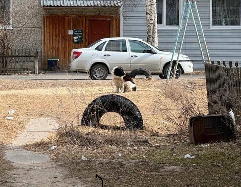 Фото: прокуратура Томской области