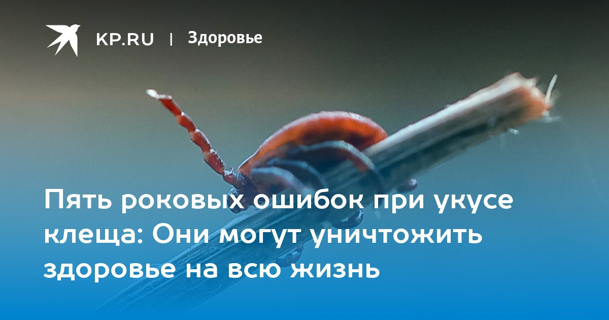 5 роковых ошибок при укусе клеща: как избежать опасности для здоровья