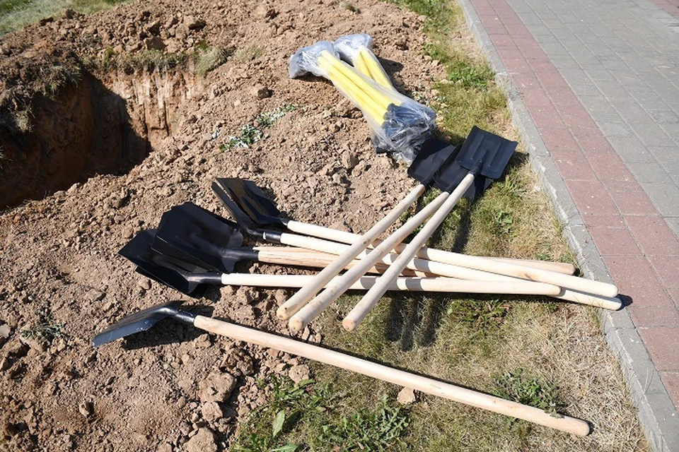 В Хабаровске сотрудники суда и прокуратуры высадили деревья к 80-летию Победы