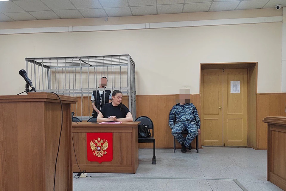 Согласно уголовному кодексу, ему может грозить лишение свободы на срок до семи лет.