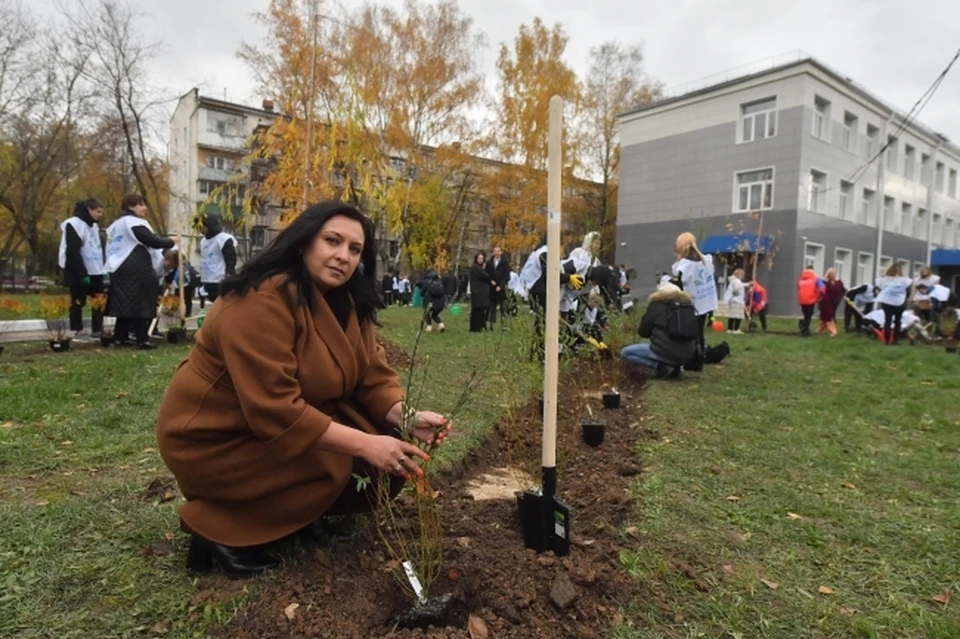 В Еврейской автономной области стартовала акция «Сад памяти»