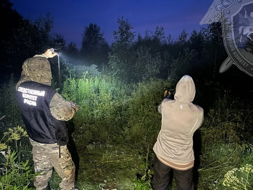 Фото: пресс-служба СУ СК России по Костромской области