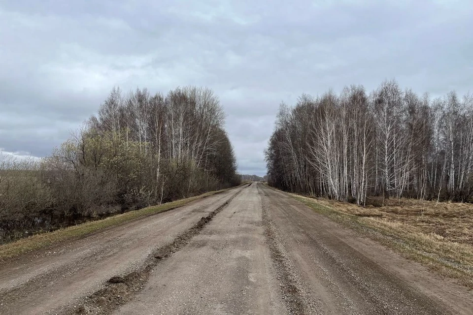К новосибирскому селу с туристическим налогом построят дорогу. Фото: Территориальное управление автомобильных дорог Новосибирской области