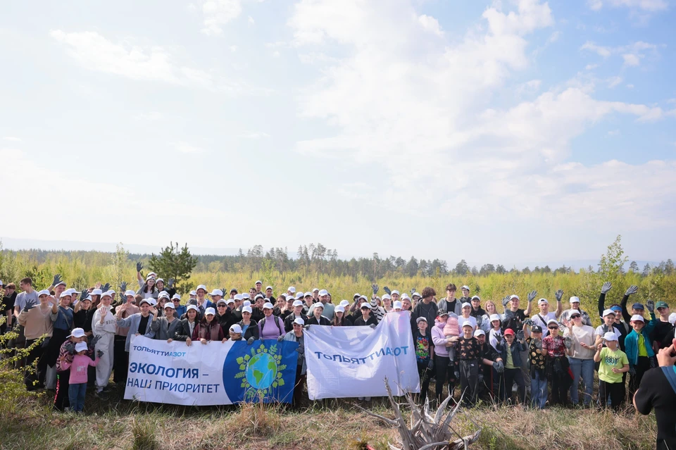 В Тольятти продолжается восстановление лесопарковой зоны, пострадавшей от пожаров в 2010 году / Фото: АО "ТОАЗ"