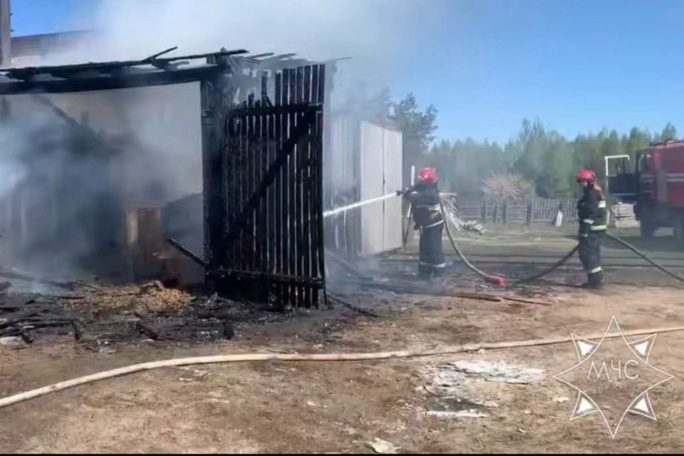 Спасатели тушили пожар в цеху деревообработки в Червенском районе. Фото: скриншот с видео МЧС Беларуси