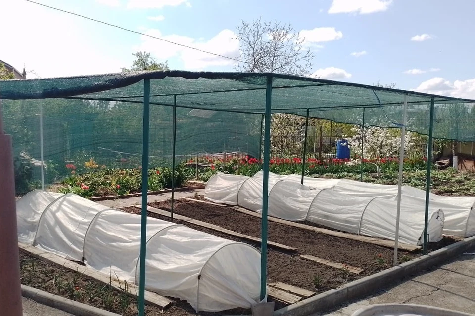 На огороде у Ивана и Татьяны растениям устроен настоящий курорт: от питательных "ванночек" до солнцезащитных тентов.