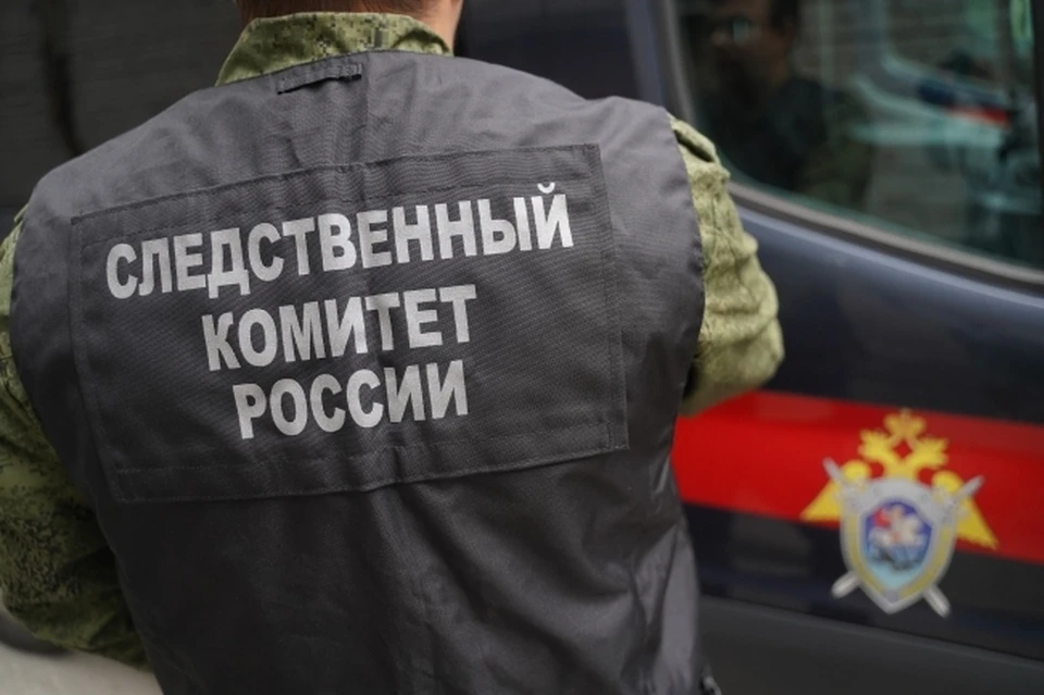 Председатель СК РФ поручил завести уголовное дело.