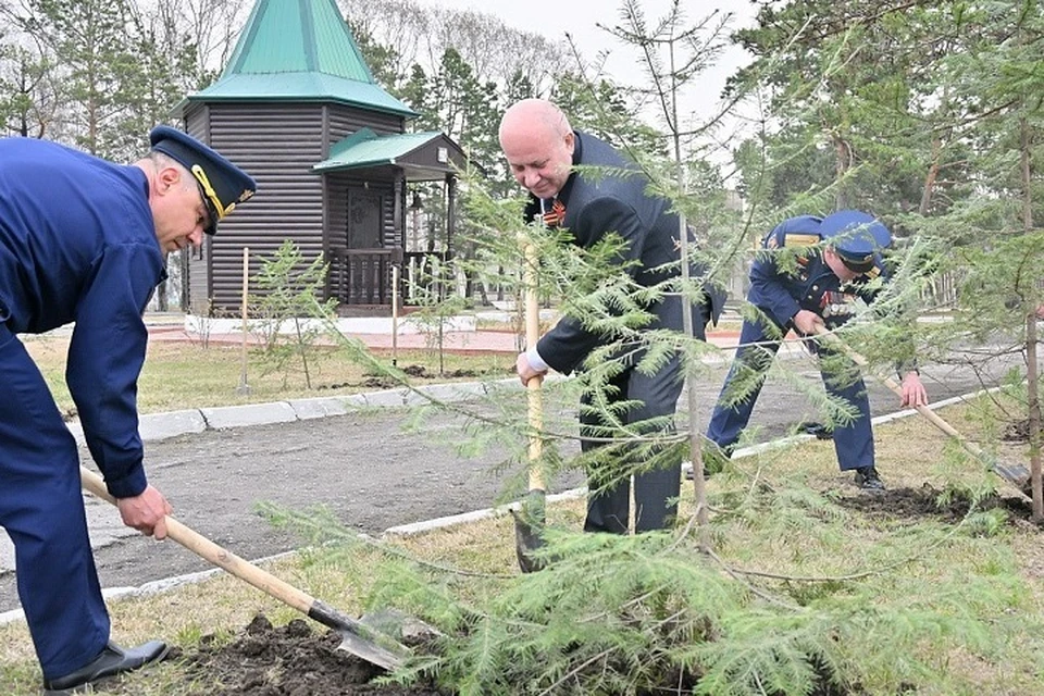 Ежегодно в рамках акции высаживают около 27 миллионов деревьев