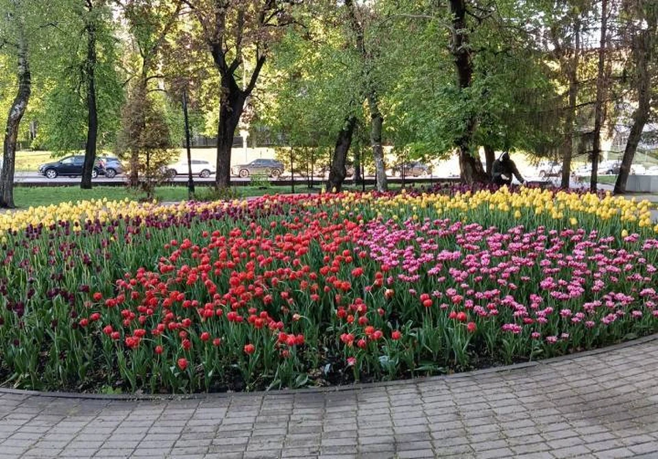 9 мая в Воронеже, как и год назад, обещает быть солнечным днем.