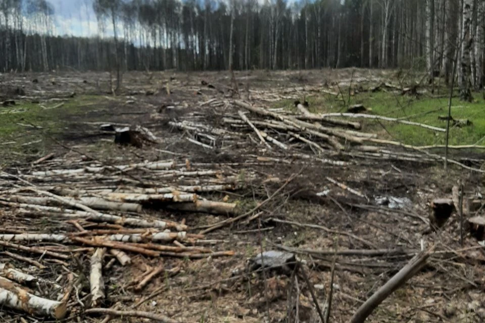 Фото: Пресс-служба Управления ФСБ России по Республике Мордовия.