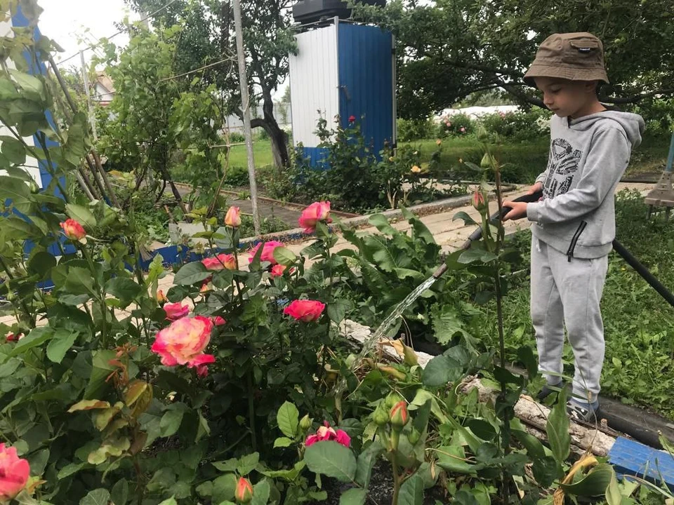 Белгородцам в целях экономии воды рекомендуют использовать емкости для полива