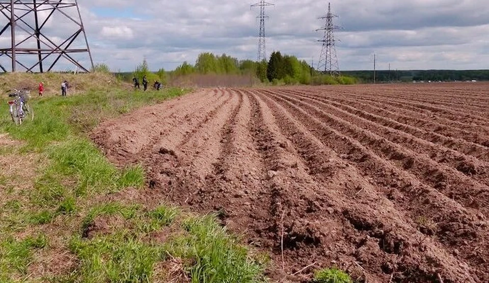 Фото: пресс-служба администрации Костромской области