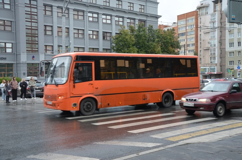 Номера двух автобусных маршрутов изменятся в Нижнем Новгороде.