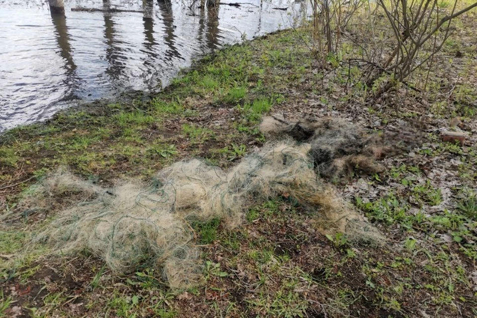 Проверку провели в акватории реки Кама. Фото: прокуратура Удмуртии